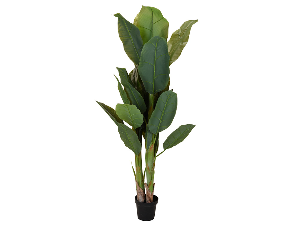 Εικόνα Tεχνητό φυτό σε γλάστρα (318000690) Μπανανιά - 165cm
