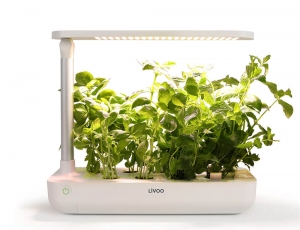 Εικόνα Εσωτερικοί Κήποι