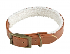 Εικόνα Για τους τετράποδους μας φίλους