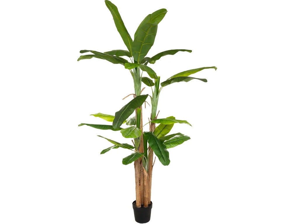 Εικόνα Tεχνητό φυτό σε γλάστρα Atmosphera - Μπανανιά - 2.85m